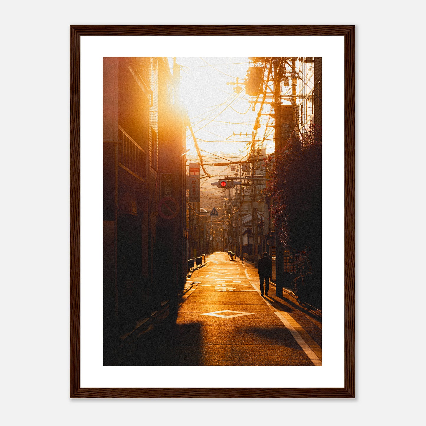 MORNING GLOW